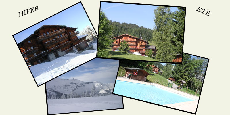 Bienvenue au chalet Les Ancelles, au coeur du massif du Mont-Blanc